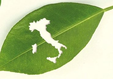 Comunicare la sostenibilità: tendenze e strategie - Primaonline