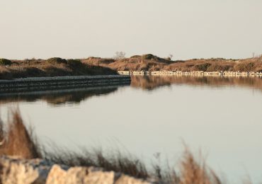 Coldiretti Puglia: “Calano i quantitativi di <b>acqua</b> negli invasi artificiali e l'agricoltura soffre”
