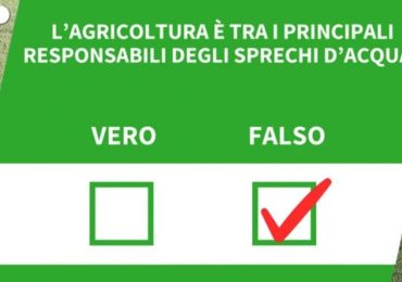 Ansa VERIFIED - L'agricoltura e' tra i principali responsabili degli sprechi d'<b>acqua</b>?