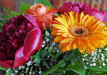 Sostenibilità: arriva il primo fiore green - MeteoWeb