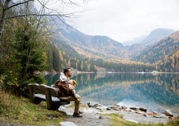 Respiriamo a pieni polmoni, verso una <b>gestione</b> forestale sostenibile - Città Nuova