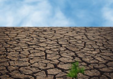 Siccità, la Piana di Catania e l'ennese le zone più a rischio - QdS
