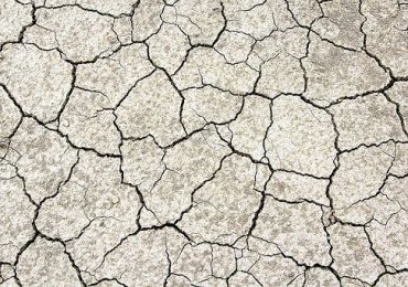 Fao: il 10,7% dei terreni nel mondo è colpito dalla salinità - Askanews