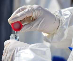 dove sono stati scoperti in Romagna gli inquinanti eterni' che aumentano il rischio di tumori