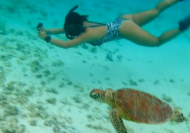 In nuoto nell'<b>acqua</b> cristallina al fianco di una tartaruga - Corriere Tv
