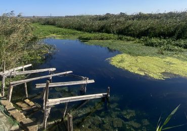 Il dissalatore sul Tara non s'ha da fare. Ecosistema a rischio. Chiesta audizione in Regione