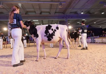 INNOVAZIONE E NEXT GENERATION: IL SUCCESSO DELLA 79ESIMA EDIZIONE DELLE ...