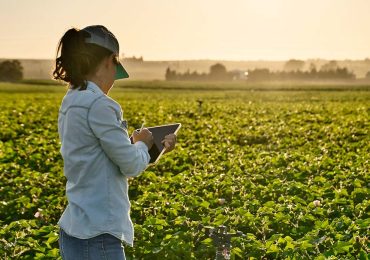 Fondo Innovazione, la convalida di oltre 6.500 domande decreta il successo dello strumento