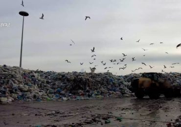 <b>Gestione</b> illecita di rifiuti e scarico abusivo di reflui industriali: sequestrato un impianto a Caivano