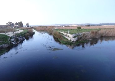 Salviamo il Tara, questo nostro fiume identitario - Italia Nostra