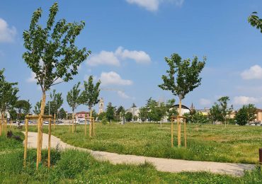 A Bussolengo nuove piantumazioni al Parco Sampò - Daily Verona