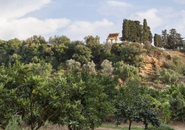 Valle dei Templi, il Fai continuerà a gestire Giardino della Kolymbetra - Giornale di Sicilia