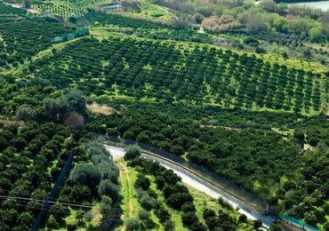 Ribera: Crisi idrica agricola, CGIL e Liberi Agricoltori scrivono al presidente Schifani e ai 12 ...