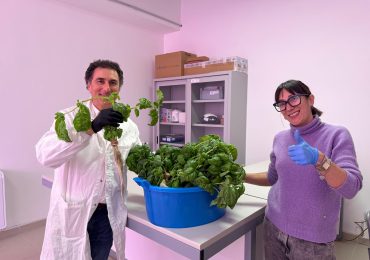 Il laboratorio idroponico del Mattioli-D'Acquisto: il basilico coltivato dagli studenti diventa pesto