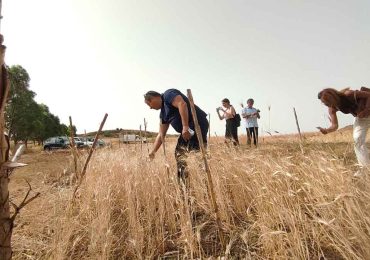 Bonus agricoltura con contributo a fondo perduto: come ottenerlo - QdS