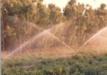 Agricoltura, Coldiretti: «La crisi idrica è finita ma ora attenzione ai consumi» - La Nuova Sardegna