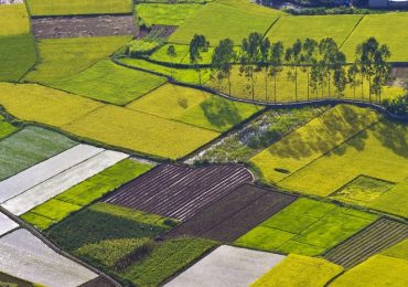 consorzi irrigui piemonte - RisoItaliano | Il portale del riso