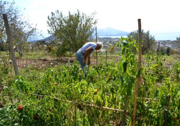 L'<b>acqua</b> va in vacanza - Il Manifesto