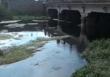 "Tante criticità per il dissalatore sul Tara", l'accusa di Legambiente - RaiNews