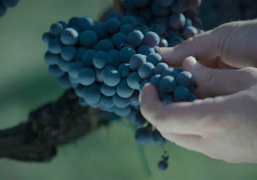 Divine: storie di donne e vino in onda venerdì 28 febbraio su Rai 3 e RaiPlay