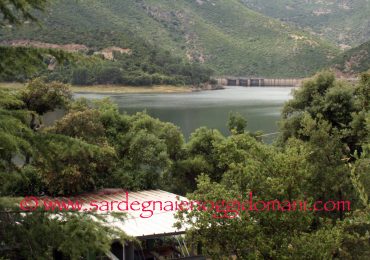 Coldiretti Sardegna risponde ad Enas: «L'acqua non si spreca nei campi ma nelle ...