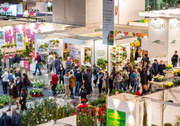 Myplant & Garden 2025: il più grande salone internazionale del verde si prepara a stupire