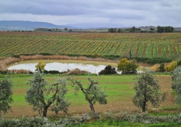 Cambiamenti climatici, un laboratorio vivente in Val d'Orcia - intoscana