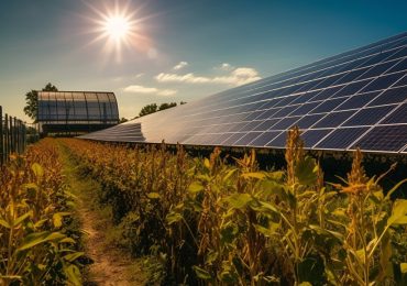 Perché l'Italia dovrebbe puntare (molto) sull'agrivoltaico - Energia Oltre