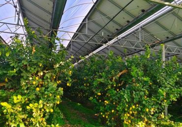 Agrivoltaico, ripensare l'agricoltura producendo energia | lavialibera