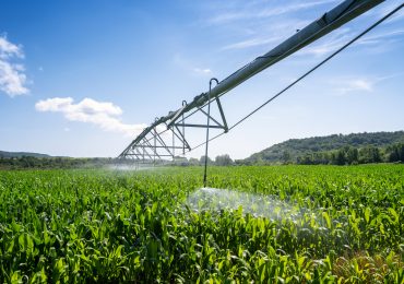 Coldiretti Sardegna contro Enas: “L'<b>acqua</b> non si spreca nei campi, ma nelle infrastrutture fatiscenti”