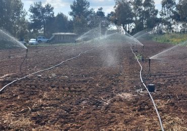Coldiretti contro Enas sullo spreco delle risorse idriche: "L'acqua non viene persa nei campi"