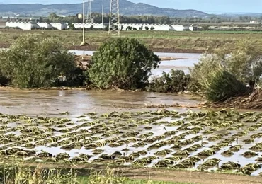 <b>Acqua</b>, il vero spreco è nelle infrastrutture: le 10 domande di Coldiretti a Enas