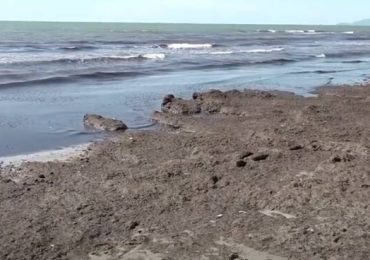 «Legname lungo i corsi d'<b>acqua</b> e spiagge, autorizzare raccolta e taglio gratuiti a cittadini e ...