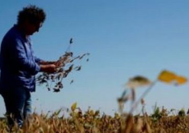 Cambiamenti climatici, in Molise terreno sempre più instabile. Ecogest: entro fine secolo ...