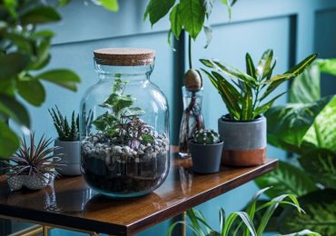 Myplant & Garden 2025 chiude con successo e guarda al futuro - Materia Rinnovabile