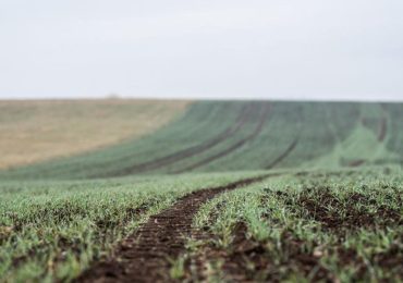 Crea: Italia terzo paese in Ue per acqua, 41% ad agricoltura - la Repubblica