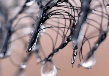 Perché gli scienziati vogliono iniziare a "coltivare" la nebbia? - Futuro Prossimo