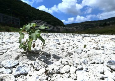 Coldiretti Puglia: «Nel Foggiano è allarme siccità»