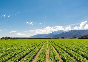 Coltivato: il festival internazionale dell'agricoltura torna a Torino con un focus sull'<b>acqua</b>