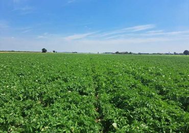 Giornata mondiale dell'<b>acqua</b>: un focus sui consumi idrico in Italia e le iniziative sostenibili