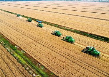 Proteste degli agricoltori: Meritocrazia Italia chiede ancora che siano affrontate le criticità del settore