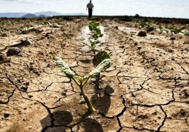 È SEMPRE PIÙ ALLARME SICCITÀ IN CAPITANATA. OGGI CONSIGLIO REGIONALE ...