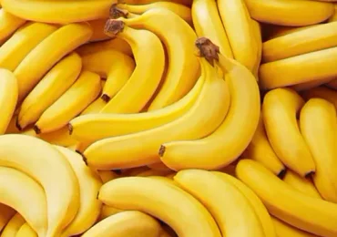 Banane a rischio, colpa del cambiamento climatico - Myfruit