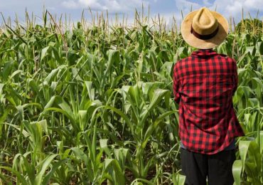Con "Mawarid" il Comune aiuta agricoltura, sicurezza alimentare e nutrizione in Tunisia