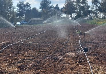 Tore Piana (CSA): “Serve un cambio di passo sulla <b>gestione</b> dell'<b>acqua</b> - Alghero Live