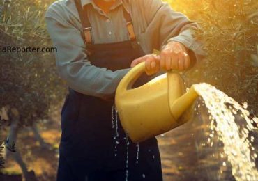 Bollette dell'<b>acqua</b> salate per gli agricoltori di Puglia: incremento che sfiora il 100% mentre ...