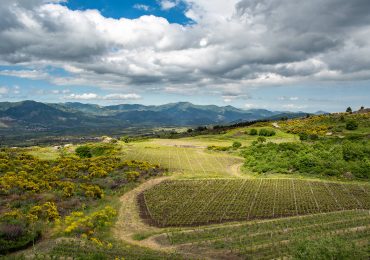 Environment, perché è al centro delle strategie ESG - ESG360