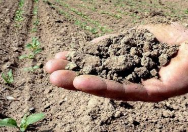 Siccità in Calabria: il Governo estende l'emergenza - CalabriaMagnifica.it