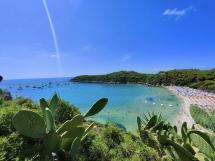 Quadro della situazione attuale sulla gestione del servizio idrico all'Elba