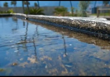 Processo PFAS, Acquevenete: "Giustizia per cittadini e ambiente" - Il Domani d'Italia